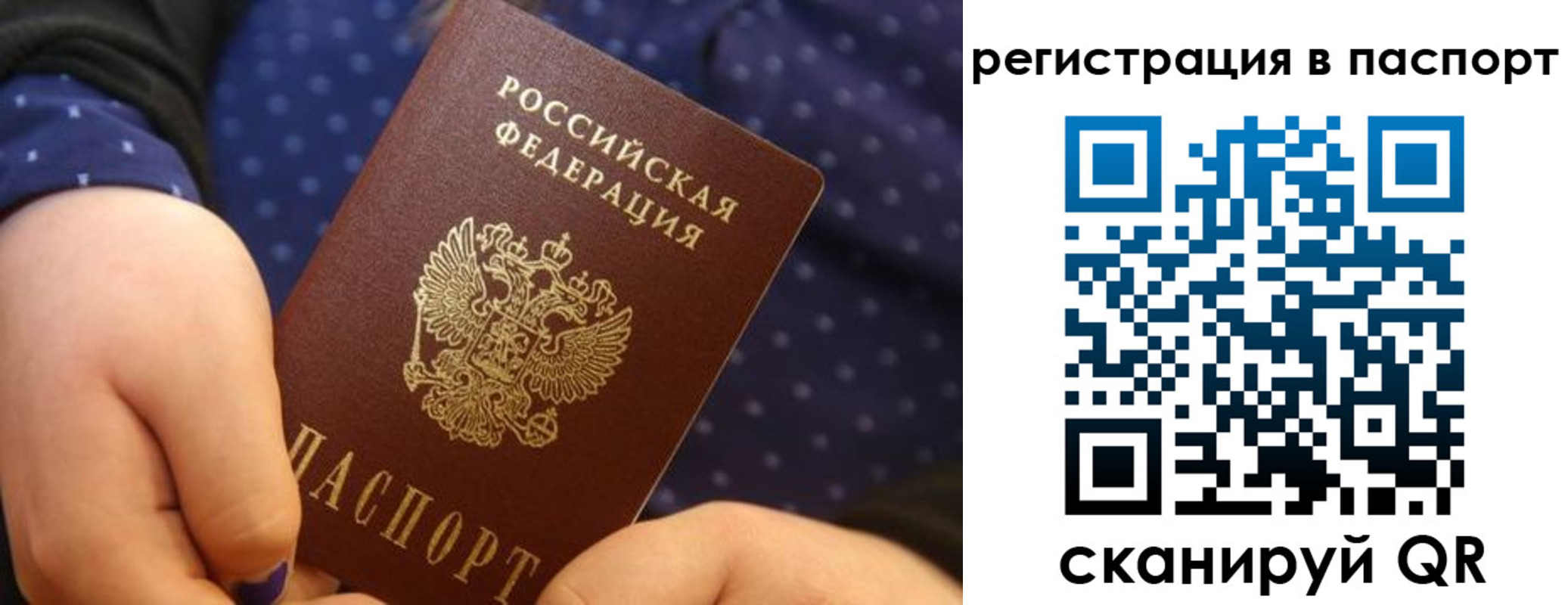 регистрация для дет. сада в Сертолово